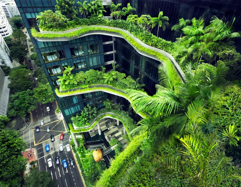 Green roof in Sydney